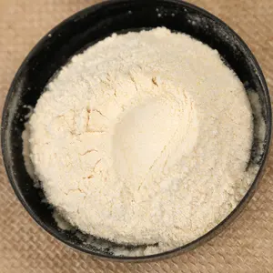 Профессиональный производитель высококачественный обезвоженный чистый серебряный Грибной порошок натуральный органический экономичный оригинальный аромат - Product Image 3