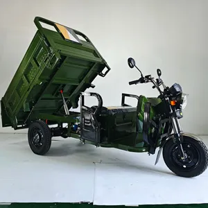 자동 유압 덤프 스쿠터와 2000W 전기 세발 자전거 3 바퀴화물 트라이크