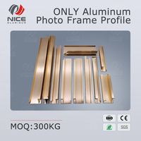 Cadre photo en aluminium 6063 T5, testé 100% QC, anodisé or et nacré, cadre à clipser durable pour décorations et encadrement de galeries d'art