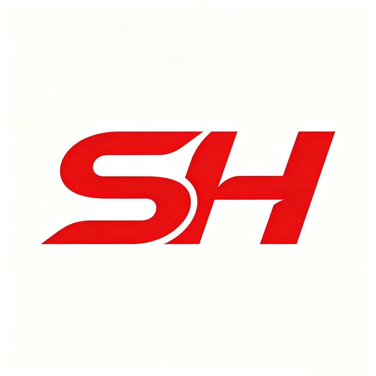 Gaocheng District Shuanghao Palace Lamp Factory logo
