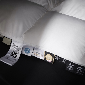 Lông cao cấp xuống <span class=keywords><strong>Comforter</strong></span> tất cả các mùa trung bình ấm áp trắng 100% bông Bìa xuống bằng chứng Duvet chèn với góc Tab - Product Image 5