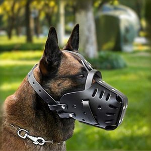 Museruola per Cani in Pelle Bovina, Anti-morso, Anti-abbaio, Anti-impugnatura, per Addestramento, per Pastori Tedeschi e Rottweiler, Direttamente dalla Fabbrica - Product Image 1