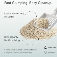 Litière pour chat en tofu antibactérienne et anti-moisissure, inhibe la croissance bactérienne, fraîcheur longue durée, faible teneur en poussière, litière pour chat en fibres végétales jetables dans les toilettes