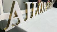 Letrero de Canal 3D Iluminado LED de Acero Inoxidable para Exteriores Personalizado, Clasificación de Impermeabilidad IP65, DC12V para Decoración