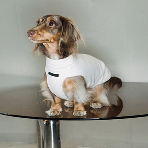 Chaleco de protección del vientre elástico cálido antiestático ecológico para galgos pequeños Bichons-Ropa para mascotas para perros de Año Nuevo - Product Image 2