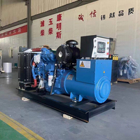 Grupo Electrógeno Diésel Weifang Power con Motor Ricardo 15 KVA 20 KVA 25 KVA 30 KVA 40 KVA 50 KVA a Precio Muy Económico