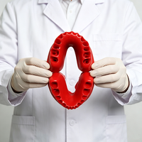 Modelo de Arco Dental en Forma de U de Doble Capa Desmontable para Enseñanza Dental