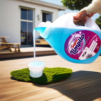 Lessive liquide parfumée aux fleurs pour hôtels, en vrac, prix usine OEM Chine