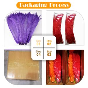 40 - 45 cm <span class=keywords><strong>16</strong></span> -18 pulgadas pluma de avestruz recortada Nandu plumas de avestruz largas para fiesta carnaval disfraces Decoración - Product Image 5
