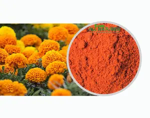 Großhandel natürlicher Ringelblume blüten extrakt 5% 20% 60% Meso-Zeaxanthin-Pulver für Nahrungs ergänzungs mittel