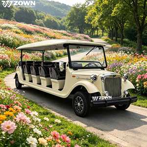 Voiture électrique rétro vintage populaire 2026, couleur personnalisée, voiture touristique classique, batterie au lithium longue portée pour parc d'attractions et mariage - Product Image 1