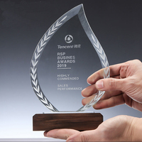 Trophée en cristal personnalisé avec gravure et impression laser pour cadeau de remerciement pour les médecins - Vente en gros Small Bridge