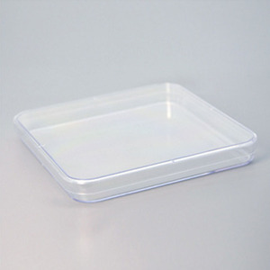 Boîte de Pétri carrée en plastique transparent 100x100mm pour la recherche en laboratoire et les laboratoires chimiques XZ LAB SUPPLIES - Product Image 1