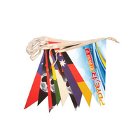 Cordon suspendu rectangulaire en polyester coloré, drapeau de fanion, offre spéciale