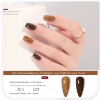 Ensemble de vernis à ongles haut de gamme, couleurs blanchissantes populaires pour les salons de manucure, collection classique printemps-été, numéro de modèle haut de gamme