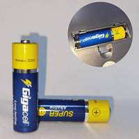 Piles AA 1,5 V alcalines, piles double AA pour consoles de jeux, télécommandes, voitures télécommandées, phares, jouets et plus encore