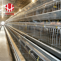 Cages à Poules Pondeuses avec Système de Collecte d'Œufs pour 120 Poulets – Élevage Avicole