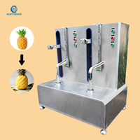 Hoge duurzaamheid fruit- en groenteschilmachine, roterende fruitschiller van roestvrij staal voor pompoen, watermeloen, broodvrucht, ananas