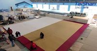 Heißer Verkauf FIG-zertifizierter rhythmischer Boden Artistic Gymnastic Floor Exercise System 14m * 14m 42ft * 54ft gefederter Boden zu verkaufen