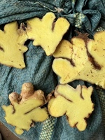 Gingembre frais jaune en vrac du Yunnan Chine Gingembre frais du Yunnan de qualité supérieure pour les opérations de transformation des aliments