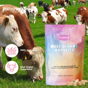 Capsules de foie de boeuf FocusHerb Suppléments d'équilibre féminin féminin Capsule de mélange d'organes de boeuf nourris à l'herbe - Product Image 5