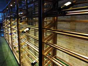 Étagères de cave <span class=keywords><strong>à</strong></span> vin de luxe <span class=keywords><strong>en</strong></span> <span class=keywords><strong>bois</strong></span> massif, <span class=keywords><strong>en</strong></span> acier inoxydable doré, grande capacité, taille personnalisée, présentoir, mobilier de maison - Product Image 3