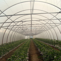 Film pour cadre de serre agricole en forme de grand dôme Hangar en plastique cerclé Tunnel à chenilles Ferme aux bleuets Maison verte Couleur bleue