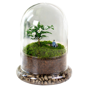 Vaso a Cupola in Vetro Borosilicato di Alta Qualità <span class=keywords><strong>con</strong></span> Base, Terrario per Mini Paesaggi Naturali, <span class=keywords><strong>Piante</strong></span> e Muschio per Decorazione da Tavolo - Product Image 3