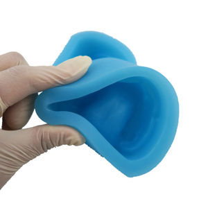 Full Arch Dental <b>Silicone</b> <b>Rubber</b> Mold Full Dentition Mold of Holostomatous Teeth Model - Product Image 4