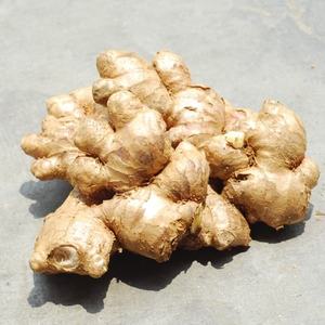 Jengibre Fresco de Alta Calidad en Oferta, Producto de Exportación, Jengibre Picante Maduro de China - Product Image 4
