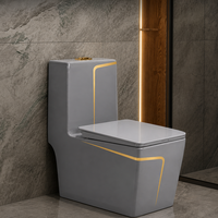 WC monobloc gris minimaliste moderne avec ligne dorée, chasse d'eau siphonique en céramique pour salle de bain contemporaine