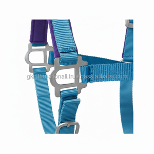 Cabestro de nailon de doble capa, Corona y nariz acolchados ajustables en muchos colores, color turquesa, precio al por mayor - Product Image 1