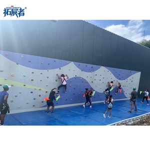 Ngoài trời nhựa Rock Leo Tường Panels cho công viên trong nhà & vui chơi giải trí Giáo Dục & mẫu giáo sử dụng - Product Image 6