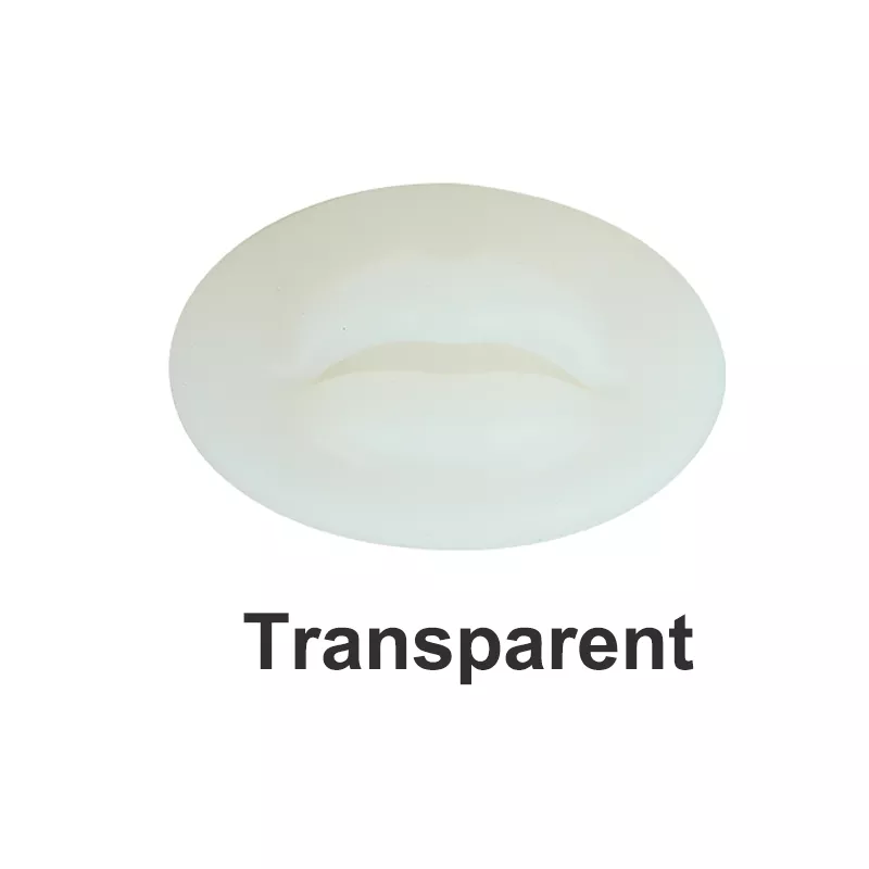 โปร่งใส