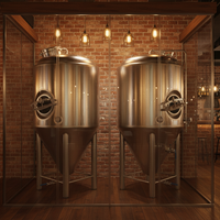 Cuve de Fermentation Industrielle et Commerciale de 500L pour la Production de Bière à Vendre