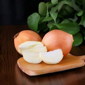 2025 Nieuwe Oogst Chinese Ui Verse Holle Gele Ui 5-8Cm In Gaaszakken (De Goedkoopste) Holle Nederlandse Uien - Product Image 3