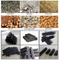 Ensemble complet de machines de fabrication de charbon de bois à partir de coques de noix de coco, directement de l'usine, ligne de production de briquettes de biomasse
