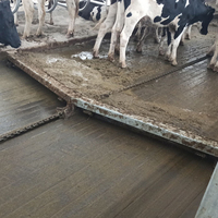 Nouvelle machine automatique d'évacuation du fumier de vache, grattoir à chaîne pour hangar d'élevage laitier, équipement agricole en acier galvanisé