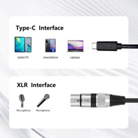 Cable de micrófono portátil USB a XLR hembra, línea de audio profesional para micrófono de condensador, mezclador de guitarra, PC de escritorio, portátil
