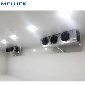 Commercial insulation walk in Freezer room for fruits and vegetables cold storage
