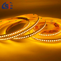 Bande lumineuse LED intelligente 12V/24V SMD2835 CCT 8mm 240D IP65 étanche 2700k-6500K