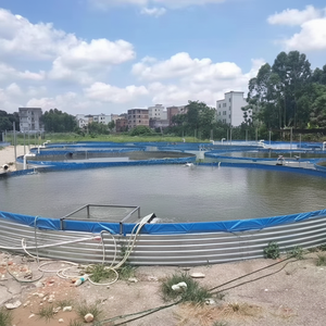 ซัพพลายเออร์จีน ระบบเพาะเลี้ยงสัตว์น้ำแบบ RAS ความหนาแน่นสูง สำหรับปลานิลและกุ้ง  บ่อเพาะเลี้ยงสัตว์น้ำเหล็กชุบสังกะสี - Product Image 1