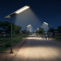 Lampadaires solaires extérieurs avec caméra 200W, tout-en-un, intégrés, 4G Dali LoRa ZHAGA Book18 pour choix EPC