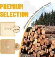 Nouvelle vente chaude : ruche Langstroth en bois à deux étages, entièrement équipée, avec 10 cadres, revêtue de cire