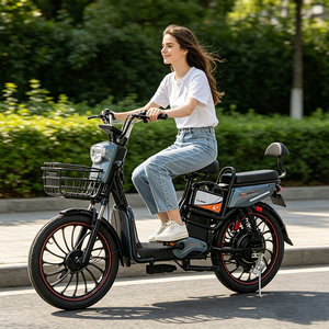 Vélo électrique robuste à batterie au plomb pour les trajets quotidiens, avec roues de 16 pouces, moteur de 800W, batterie facilement remplaçable pour une utilisation prolongée, vélo électrique à batterie au plomb - Product Image 5