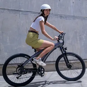 Ebike Manufacturer 100km Long Ragne 50 Km/h Motorised Bicycle Pedal Assist Electric Ladys Bike Folding Electric Cycles For Men