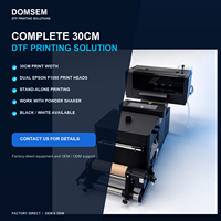 Nouvelle imprimante DTF à plat double tête DOMSEM 30 cm avec têtes d'impression Epson F1080 pour vêtements, autonome ou avec secoueur de poudre