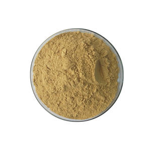 Extracto de Ginseng Americano de Grado Alimenticio, Suministro de Fábrica - Product Image 1