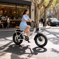 Vélo de montagne électrique à pneus larges de 20 pouces, batterie au lithium 48V sans balais, frein à disque, moteur à moyeu arrière, cadre en acier