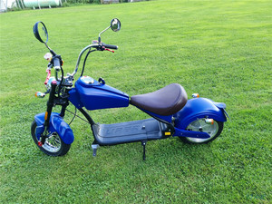 Oem Odm Grote Power Hond Elektrische Scooter Elektrische Opvouwbare Dubbele Mini Ouder-kind Huisdier Elektrische Scooter - Product Image 4